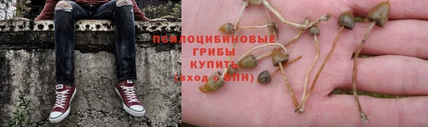 дурь Балабаново